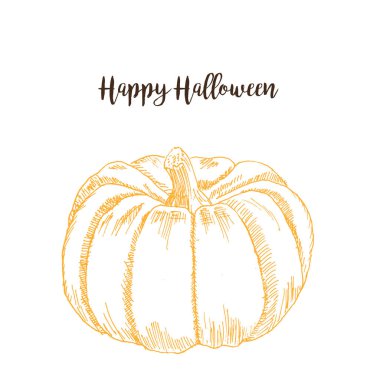 Halloween kabak kroki el çizim vektör illüstrasyon. Turuncu büyük mürekkepli kalem kabak beyaz izole.