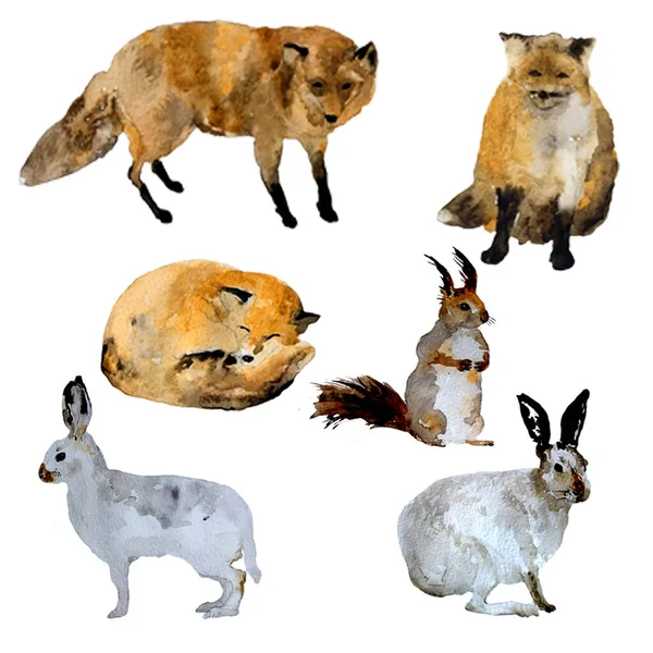 Akwarela dzikie zwierzęta leśne, lisy, wiewiórka, zajęcy, zestaw ręcznie rysowane ilustracji izolowane na białym tle. — Zdjęcie stockowe