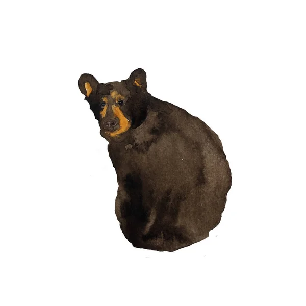 Bear Aquarell Zeichnung handgezeichnete Illustration isoliert auf weißem Hintergrund. Sitzender Braunbär, wilde Waldtiere. — Stockfoto