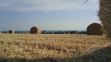 Haystacks eğimli bir alan üzerinde. Kırsal kesimde hasat