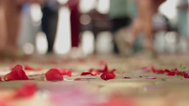 Пелюстки троянд падають на дорогу — стокове відео