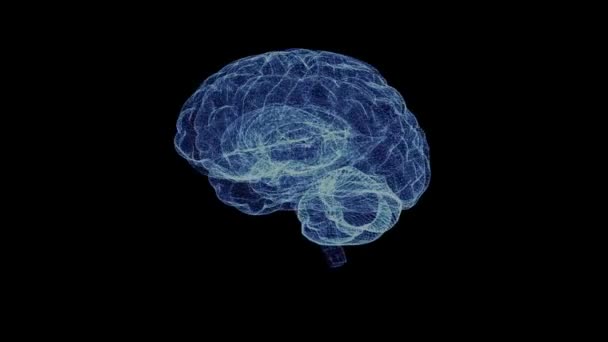 Hologram of the human brain — Stock Video