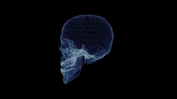 Hologram av en mänsklig skalle — Stockvideo