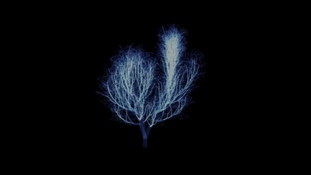 Голограмма Вращающегося Растения Анимация Маленького Куста Бесшовным Петлей — стоковое видео