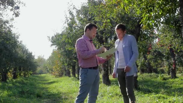 Deux agriculteurs se préparent à conclure un accord dans le verger de pommiers — Video