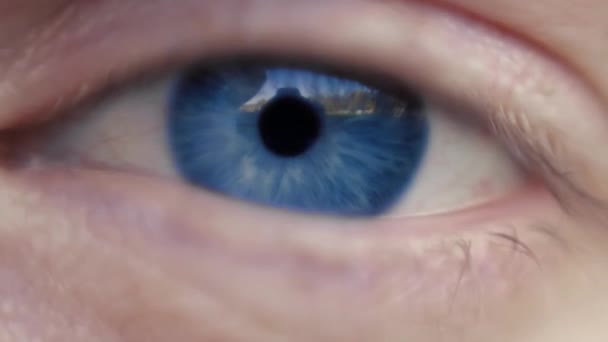 Detail makro lidské oko s modrý iris