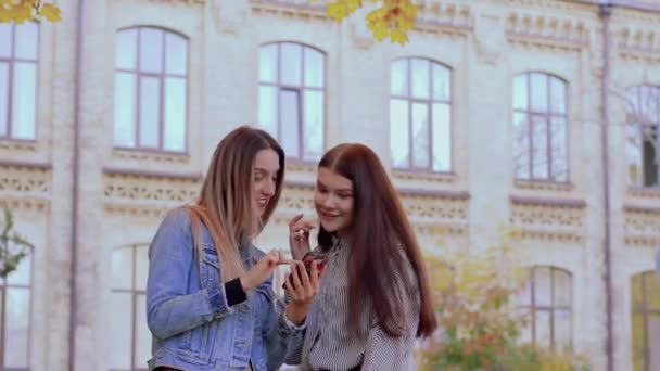 Zwei schöne lächelnde Mädchen schauen im herbstlichen Park in der Nähe der Universität auf ihr Handy — Stockvideo