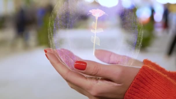 Kvinnliga händer som håller en begreppsmässig hologram med ros blomma — Stockvideo