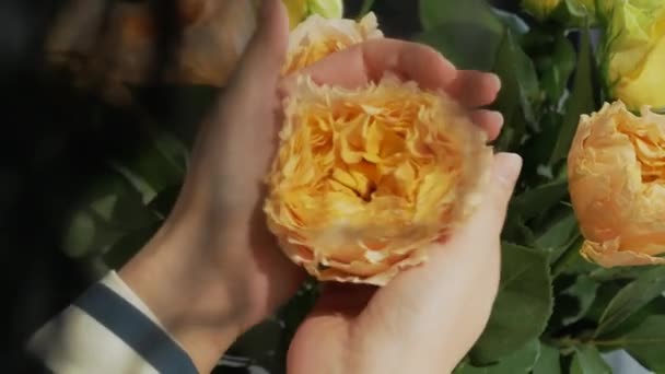 Жіночі руки утворюють букет з жовтими і помаранчевими трояндами — стокове відео