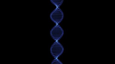 Dna çift sarmalı hologramıdır