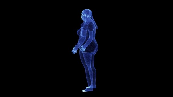 O holograma de um corpo feminino gordo rotativo de partículas — Vídeo de Stock