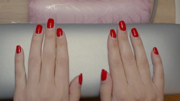 Manicurist examines a clients nails — Stock Video