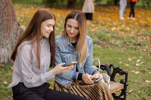Two beautiful young girls are looking into the phone, sitting on a bench in the autumn park