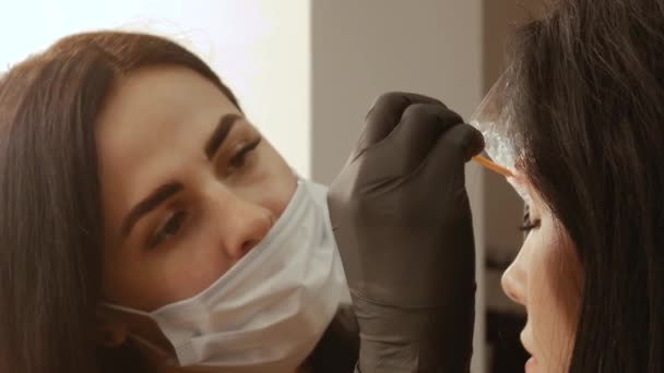 Le cosmétologue peigne les sourcils — Video