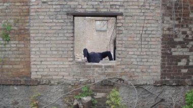 Adam özgürlük kavramları harabelerine