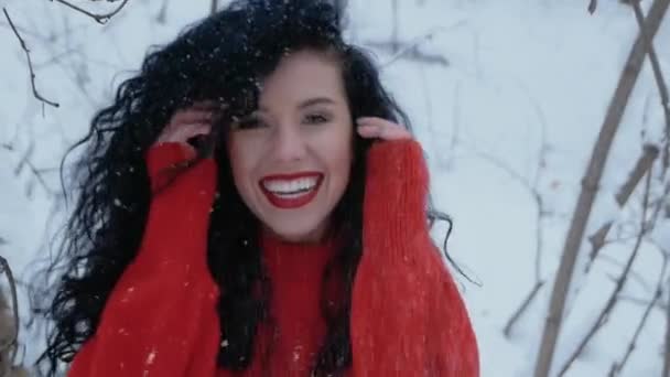 Girl smiling in snowy forest — Stock Video