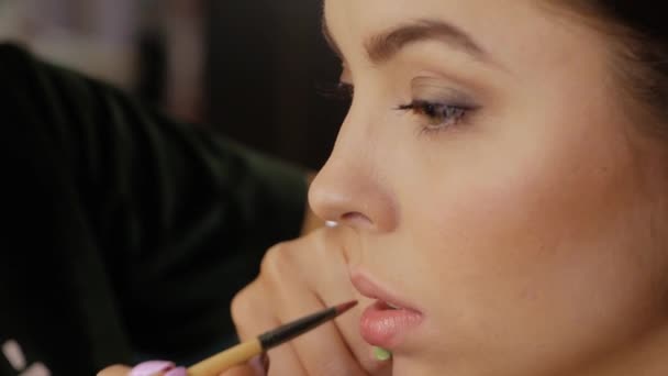 Artista de maquillaje aplicando lápiz labial — Vídeos de Stock