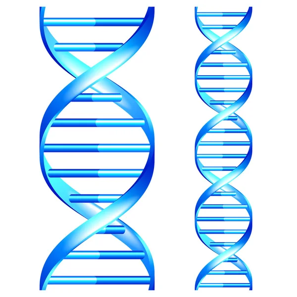 Dna Isolated Seamless Object Detailed Photo Realistic Vector Set — Stock Vector