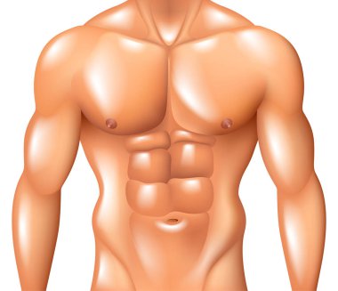 Kaslı adam gövde fitness kavramı üzerinde beyaz foto-gerçekçi vektör illüstrasyon izole
