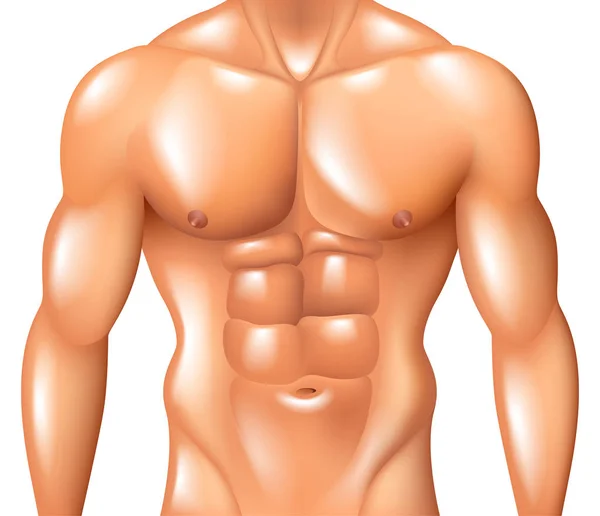Muskulös Man Torso Fitness Konceptet Isolerad Vita Fotorealistiska Vektorillustration — Stock vektor