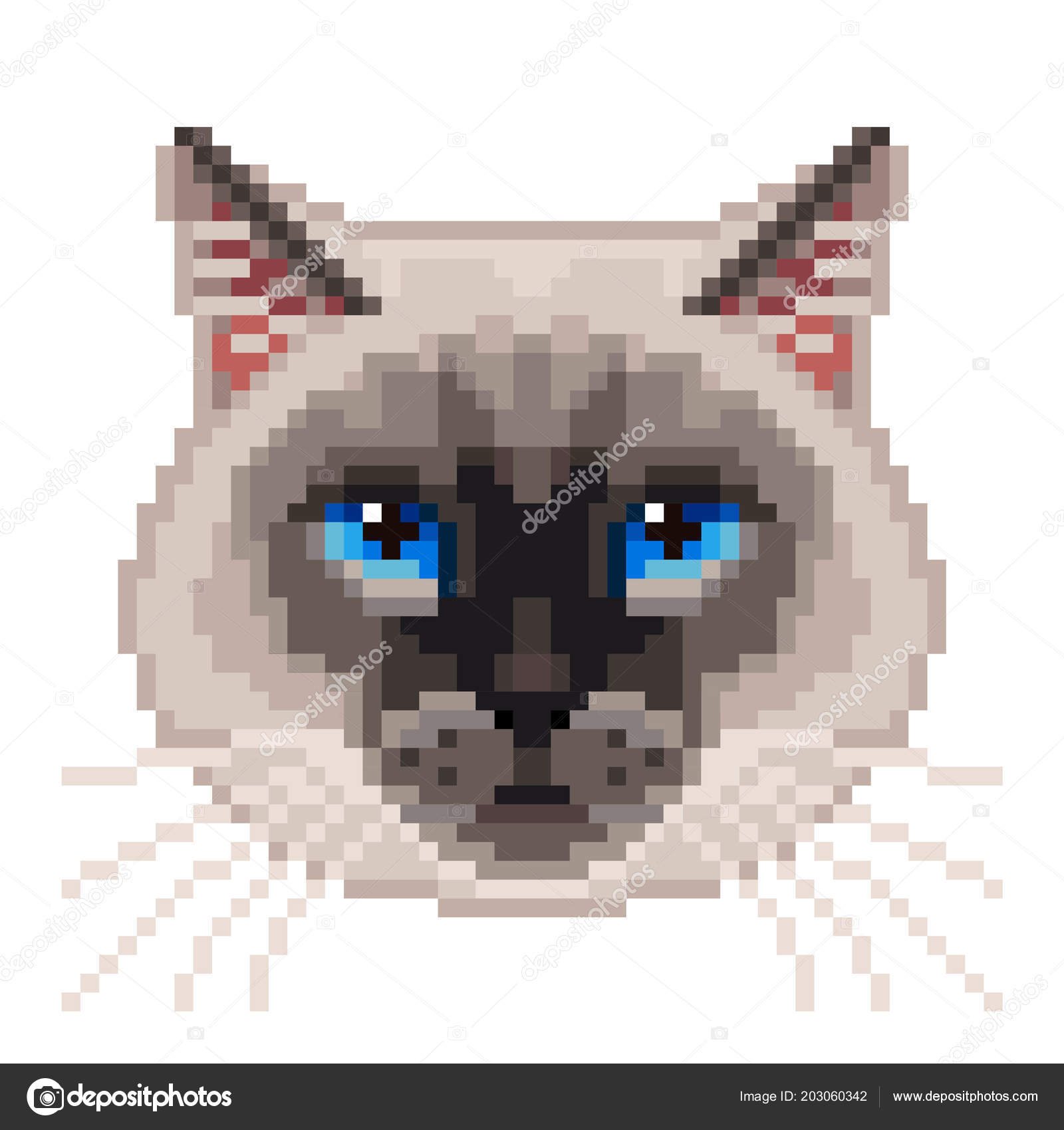 Pixel Siamese Cat Face Isolated Vector Photo Realistic