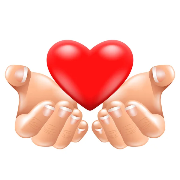 Φωτο Ρεαλιστικά Εικονογράφηση Φροντίδα Απομονωμένη Καρδιά Έννοια Καρδιολογίας Φορέα Διανυσματικά Γραφικά