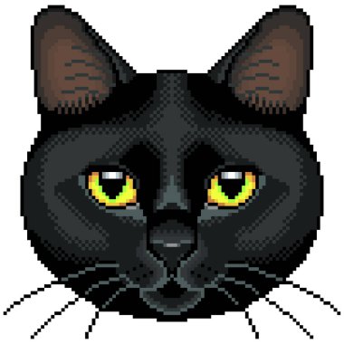 Piksel siyah kedi yüz detaylı izole vektör