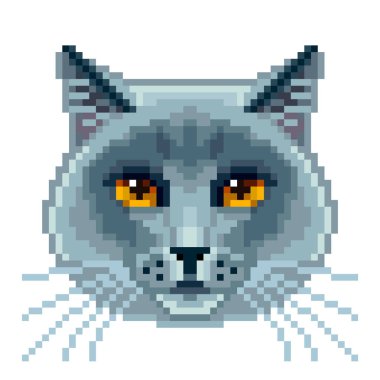 Piksel İngiliz mavi kedi yüz izole vektör Foto-gerçekçi çizim