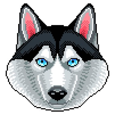 Piksel husky köpek yüz detaylı izole vektör