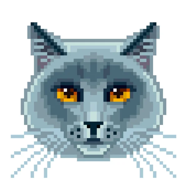 Pixel Británico Azul Gato Cara Aislado Vector Foto Realista Ilustración — Vector de stock