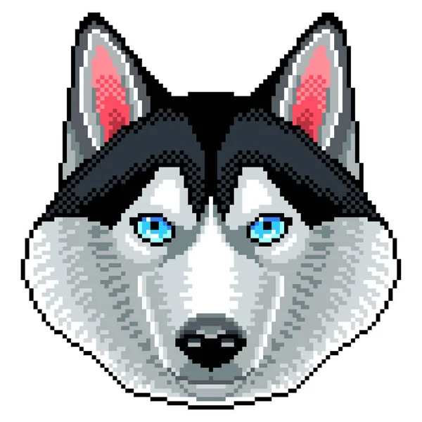 Pixel Husky Dog Face Detailed Isolated Vector — Stock Vector