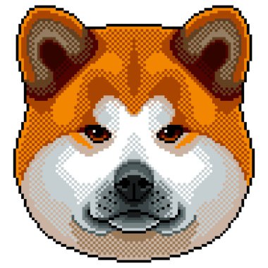Piksel akita Inu köpek portre detaylı izole vektör