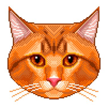 Piksel kırmızı kedi portre izole vektör çizim ayrıntılı