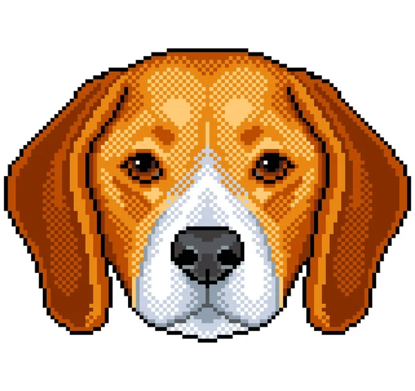 Pixel Beagle Portrait Chien Illustration Vectorielle Isolée Détaillée — Image vectorielle