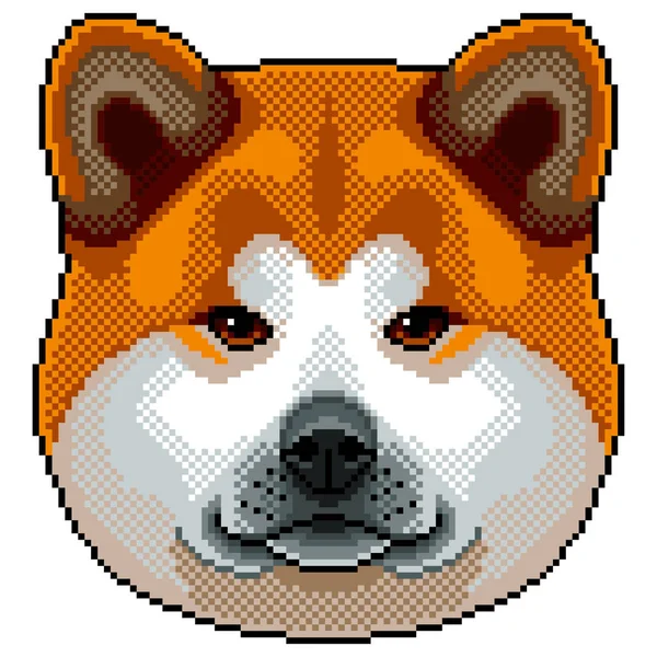 Pixel Akita Inu Portrait Chien Vecteur Isolé Détaillé — Image vectorielle