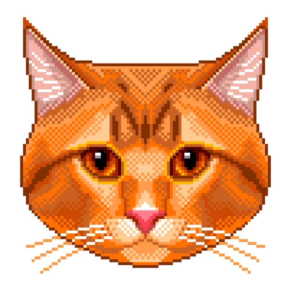 Pixel Vermelho Gato Retrato Detalhado Isolado Vetor Ilustração — Vetor de Stock