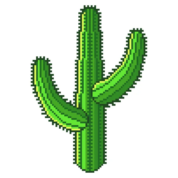 Pixel Grüner Wüstenkaktus Detaillierte Abbildung Isolierter Vektor — Stockvektor