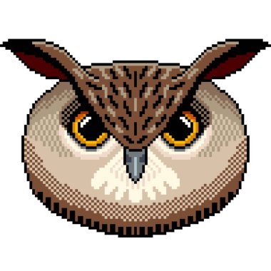 Piksel sanat baykuş portre detaylı illüstrasyon izole vektör