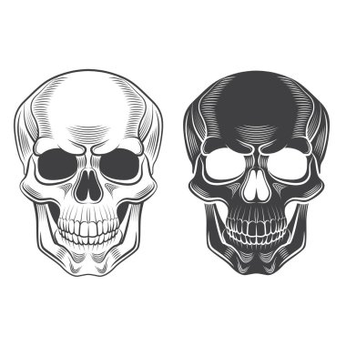 Kafatası tek renkli beyaz grafik vektör illüstrasyon izole