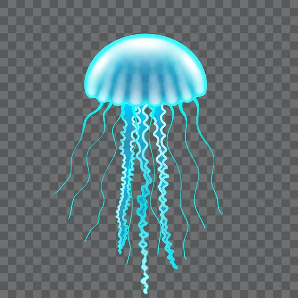 Beautiful Jellyfish Isolated White Photo Realistic Vector Illustration — Stock Vector