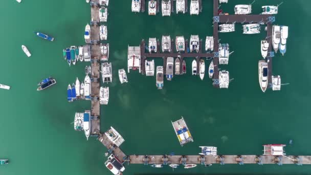 Hızlandırılmış Iskele Sürat Teknesi Marina Çok Yat Yelkenli Rıhtımda Demirlemiş — Stok video