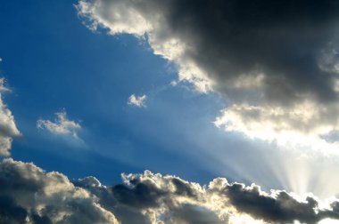 yapraklara mavi boşluk bulutlar arasında 