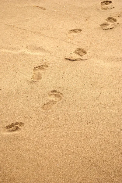 Summer Sea Diagonal Line Human Footprints Shoreline Concept Summer Holidays — Stock Photo, Image