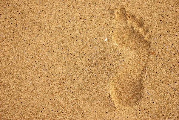 Summer Sea Human Footprint Sand Directly Close Abstract Background — Stock Photo, Image