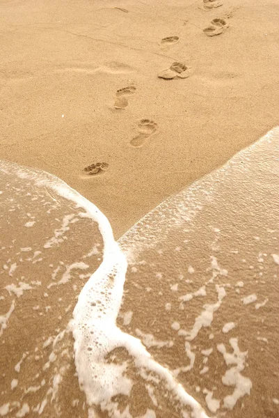 Summer Sea Last Walk Sand End Summer Line Human Footstep — Stock Photo, Image