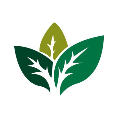 yeşil logo. vektör çizim eps 10