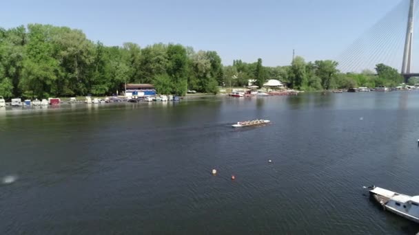 Rudern Auf Einem See Belgrad — Stockvideo