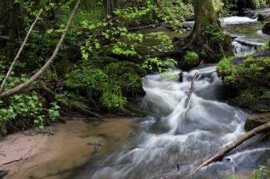 Dağ deresi, Dağ ormanının derinliklerinde ki nehir, taşların üzerinde taze yeşil yosun bulunan dağ deresi çağlayan