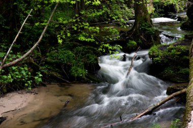 Dağ deresi, Dağ ormanının derinliklerinde ki nehir, taşların üzerinde taze yeşil yosun bulunan dağ deresi çağlayan
