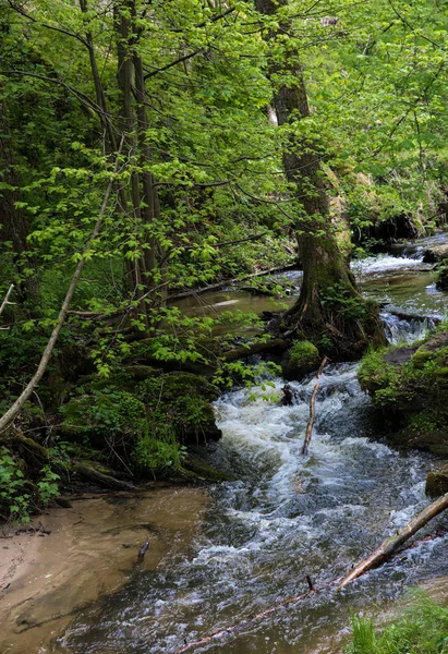 Gebirgsbach, Fluss tief im Bergwald, Gebirgsbachkaskade mit frischem grünen Moos auf den Steinen — Stockfoto